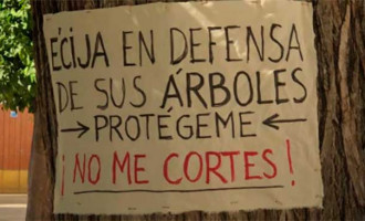 Manifestación en contra de la tala de árboles en la Plaza de San Juan de Écija (vídeo)