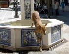 DERRIBO DE LA  FUENTE  DE LA PLAZA DE LOS MESONES DE ÉCIJA por Juan Méndez Varo