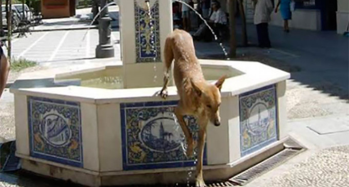 DERRIBO DE LA  FUENTE  DE LA PLAZA DE LOS MESONES DE ÉCIJA por Juan Méndez Varo