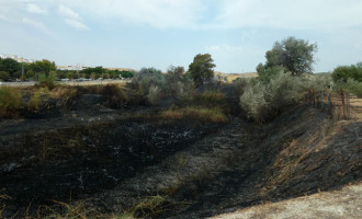Eligio García, de IU-Écija, considera muy graves los continuos incendios que cada verano destruyen la Ribera del Genil