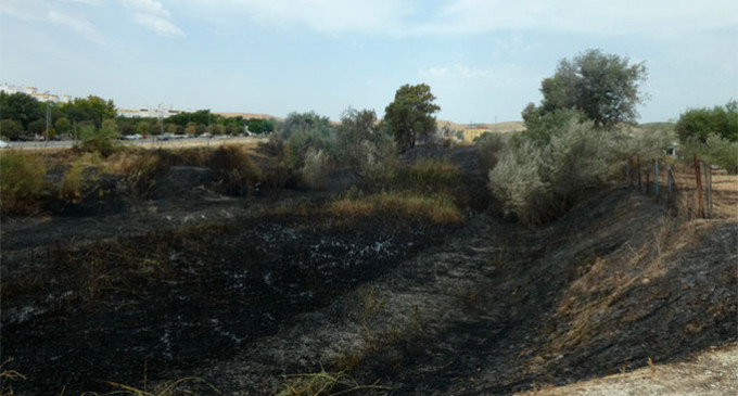 Eligio García, de IU-Écija, considera muy graves los continuos incendios que cada verano destruyen la Ribera del Genil