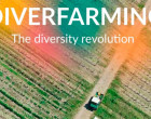 El Director de Cine de Écija, Jesús Armesto, estrena en Pecs (Hungría), su nuevo documental: “Diverfarming, the diversity revolution”