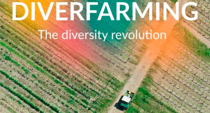 El Director de Cine de Écija, Jesús Armesto, estrena en Pecs (Hungría), su nuevo documental: “Diverfarming, the diversity revolution”